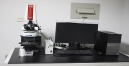 进口可见光、荧光全景组织体细胞定量分析仪（TissueFAXS）